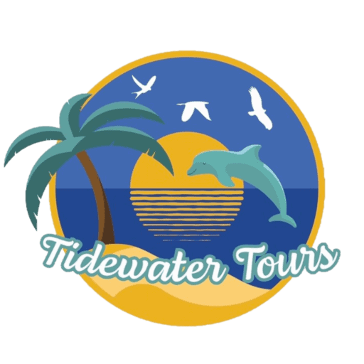 Home - Tidewater Tours